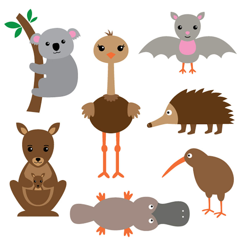 Australian Animal Illustrations Set